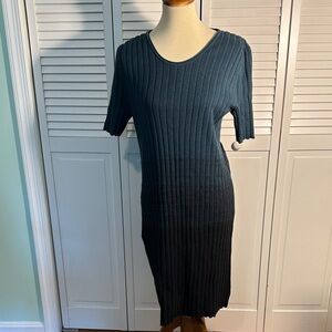 Peruvian Connection Elegant Ribbed Knit Dress in Blue/Green and black